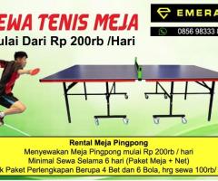 Rental sewa tenis meja pingpong - 3