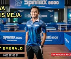 Rental sewa tenis meja pingpong - 4